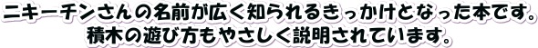 nikitin　本　子育て積み木説明　知育　ニキーチン bj9001