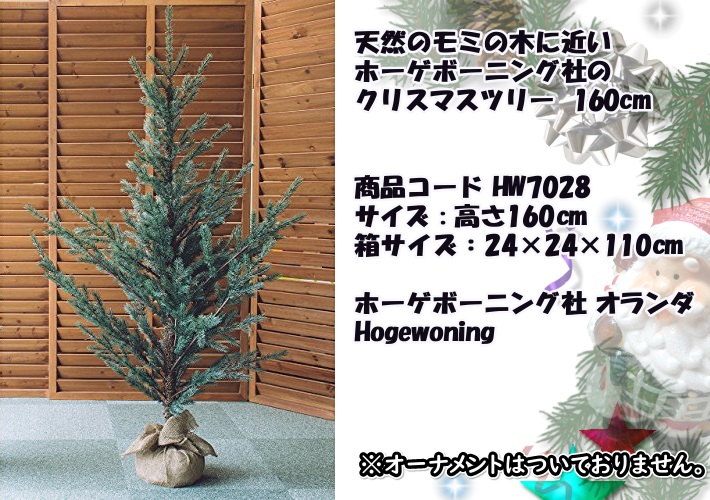 ホーゲボーニング社Hogewoning クリスマスツリー もみの木